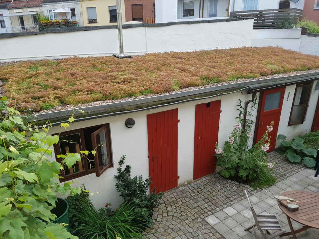 Begrünte Dächer - wie hier ein Schuppendach - bieten Vorteile für Mensch und Natur