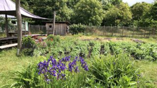 Gartengestaltung im Klimawandel
