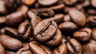 Kaffee-Tasting mit Lloyd Caffee