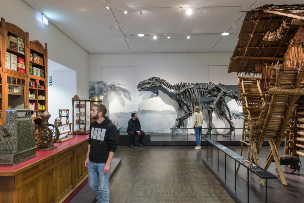 Ausstellung Spurensuche Dinosaurierskellet, Kolonialwarenladen und Südeseehaus