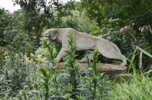 raubkatze stadtteilspaziergang hohentorspark