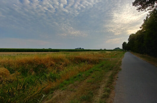 Stadtteilspaziergang Obervieland