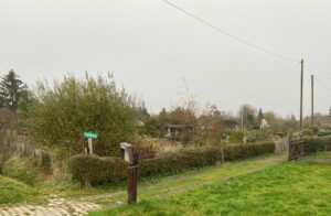 Spaziergang durch Findorff: Der weite Blick im Kleingartengebiet