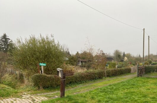 Spaziergang durch Findorff: Der weite Blick im Kleingartengebiet