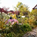 mein Zuhause Gartenneugestaltung verwildert