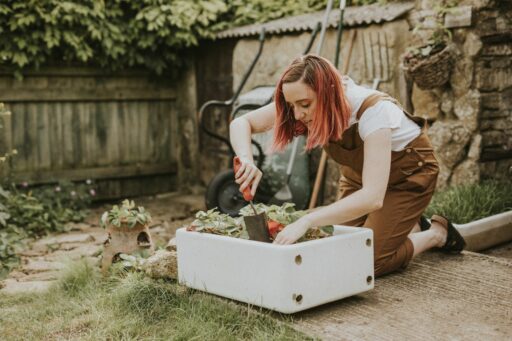 Urban Gardening: Eine Frau pflanzt in einer kleinen Kiste Erdbeeren an