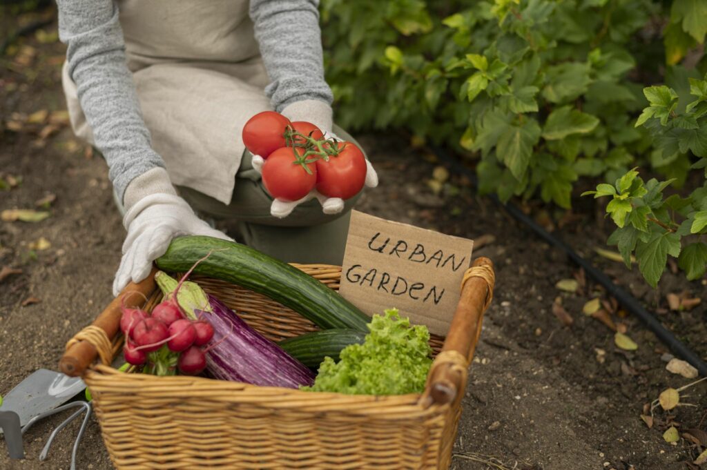 Urban Gardening: Korb mit selbst angebautem Gemüse