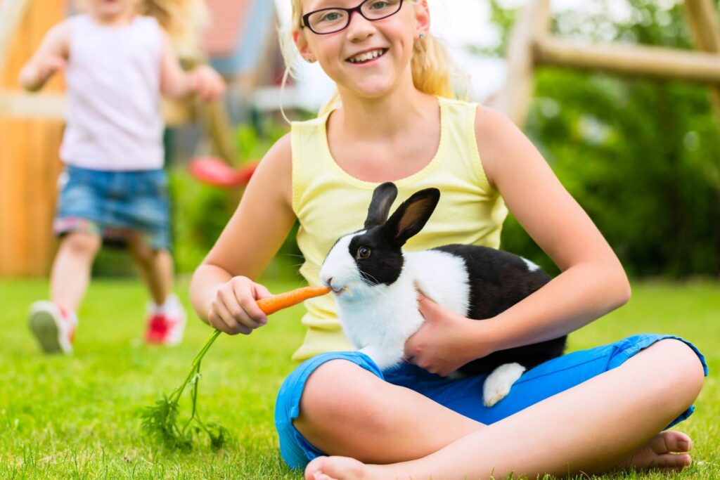 Haustiere im Garten: Mädchen füttert Kaninchen