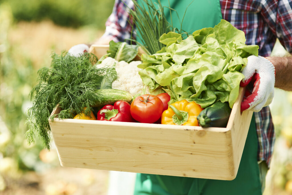 Mischkultur: Box mit Gemüse