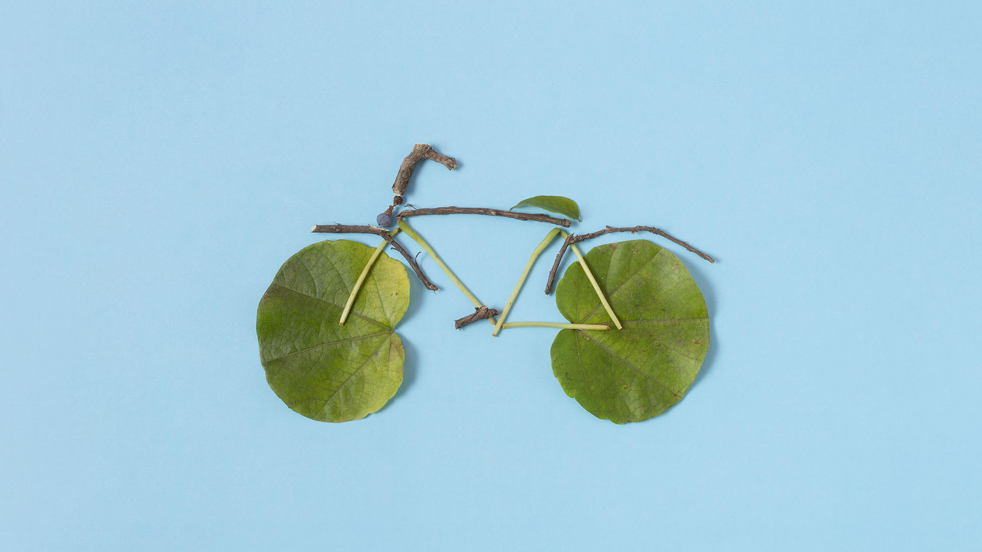 Fahrrad aus Naturmaterialien als Zeichen für Nachhaltigkeit