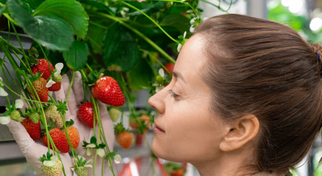 Frau riecht an Erdbeeren auf dem Balkon