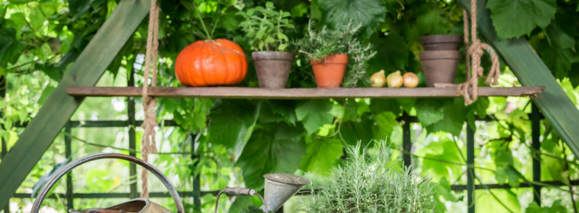 Ansicht auf ein Regal im Gewächshaus mit verschiedenem Gemüse