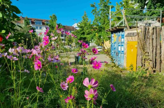 Blumen und Holzhütte auf dem Lucie-Flechtmann-Platz in Bremen Neustadt