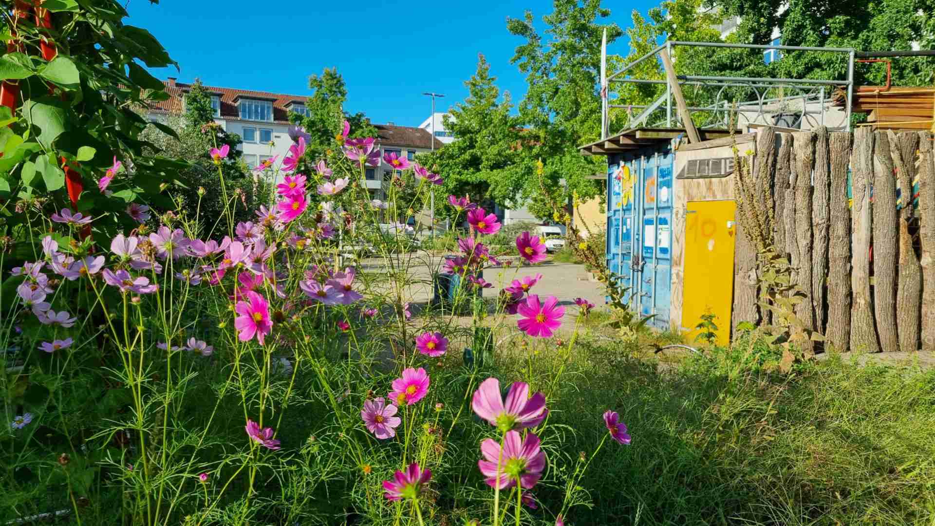 Der Rundgang Durch Hörhausen 10 Jahre Stadtgarten Lucie-Flechtmann-Platz - SPOT Bremen