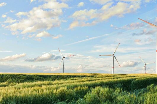 nachhaltiges Investment sichert die Zukunft