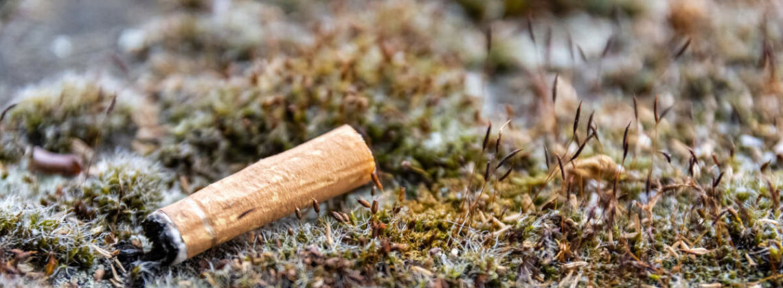 Nahaufnahme eines Zigarettensummels der in der Natur liegt