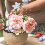 Claudia Werner Garten Schnittblumen