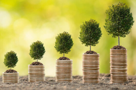 Die Fotomontage zeigt mehrere, immer größer werdende Stapel Münzen, auf denen kleine Bäume wachsen - als Symbolbild für Nachhaltig investieren mit Sachwert Invest