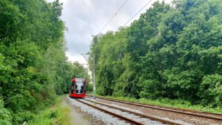 Huchting: Viel Grün, Vielfalt und Leben im Bremer Süden