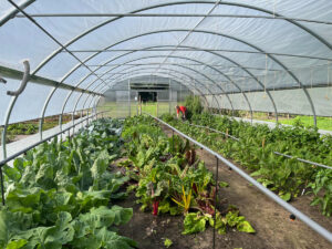 Aufnahme des Folientunnels in der Alten Gärtnerei in Huchting