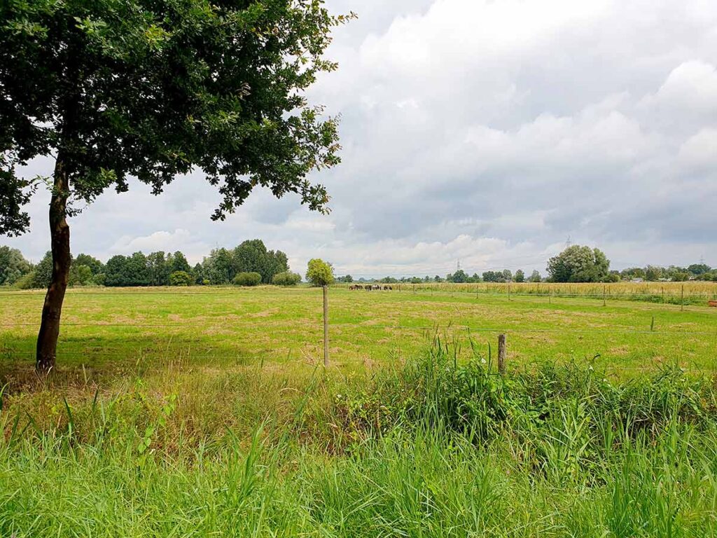 Stadtteilspaziergang Gröpelingen