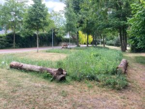 Entsiegelte Fläche in Bremen-Gröpelingen mit Blühwiese, Bäumen und eingebrachtem Totholz als Lebensraum für Insekten und Vögel