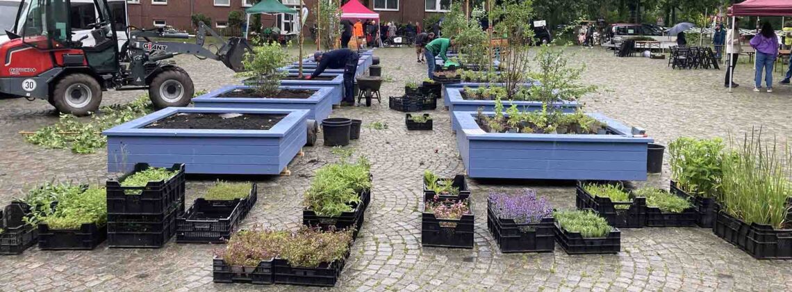 Mehrere blaue Hochbeete werden mit Pflanzen begrünt, begleitet von Anwohnenden und Helfenden beim Pop-up-Grün in Bremen-Gröpelingen