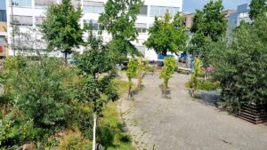 Die grüne Parkanlage auf dem Lucie-Flechtmann-Platz in der Neustadt in Bremen