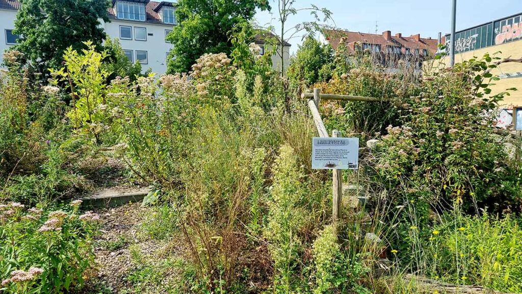Die grüne Parkanlage auf dem Lucie-Flechtmann-Platz in der Neustadt in Bremen