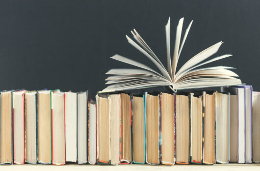 Eine Reihe von Büchern in der Seitenansicht, darauf ein aufgeklapptes Buch mit vielen Seiten