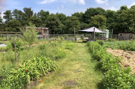 Blick in den Gemeinschaftsgarten Elli in Bremen-Huchting mit grünen Beeten, Wiese und Pavillon im Mai