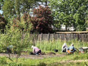 Mehrere Personen jäten gemeinsam Beete im Gemeinschaftsgarten Elli in Bremen-Huchting