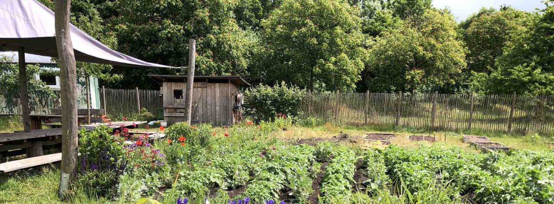 Kartoffelbeet im Gemeinschaftsgarten Elli in Bremen-Huchting im Mai