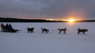 Schnee, Männer auf dem Schlitten mit Hunden, Sonnenuntergang