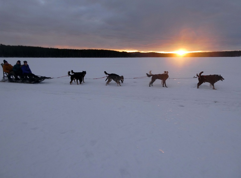 Schnee, Männer auf dem Schlitten mit Hunden, Sonnenuntergang
