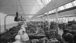 Frauenarbeit, Wolle, Lagerhalle