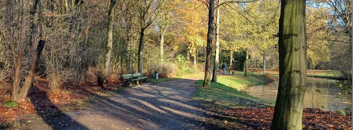 Herbstlicher Spazierweg in Bremen mit Bäumen, Parkbank und kleinem Wasserlauf – zwei Personen gehen am Ufer entlang.