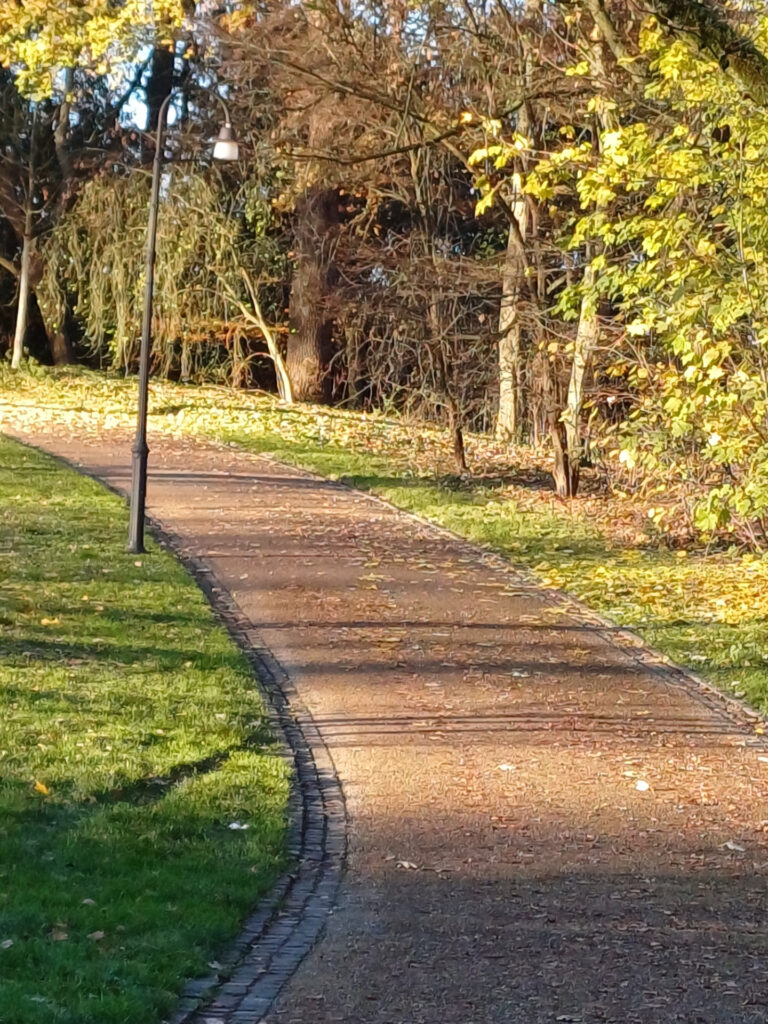 Gepflasterter, geschwungener Weg in herbstlicher Parklandschaft in Bremen, gesäumt von Bäumen und einer Laterne.