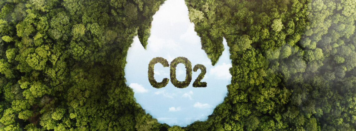 Luftaufnahme eines dichten grünen Waldes mit einer großen, flammenförmigen Aussparung in der Mitte. In der Aussparung ist der Himmel zu sehen, darin steht in großen, moosartig bewachsenen Buchstaben „CO₂“. Das Bild symbolisiert den Einfluss von CO₂-Emissionen auf die Umwelt und die Bedeutung des Klimaschutzes.
