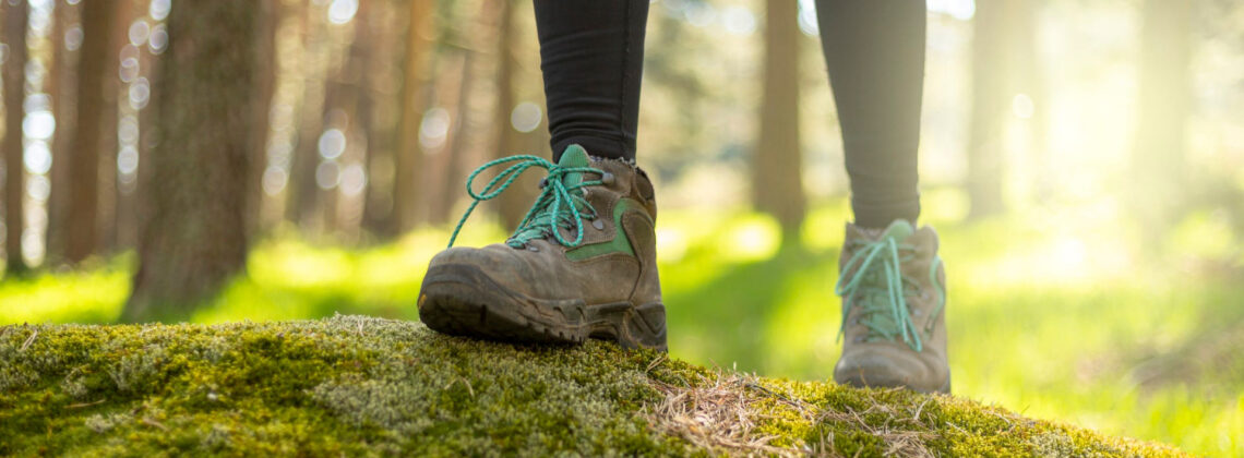 Das Foto zeigt Wanderschuhe in Nahaufnahme, die auf einen kleinen Hügel steigen. Symbolbild für Wanderführer für Berge in Bremen