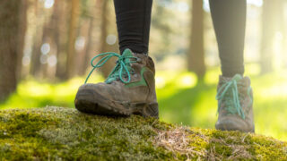 Wanderführer zu den Bergen in Bremen und umzu