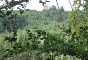 Blick das einen Berg im Wiehengebirge.