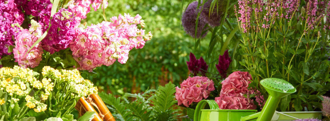 Eine grüne Gießkanne und Gartenwerkzeug vor einem üppig blühenden Beet