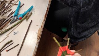 Traumfänger basteln