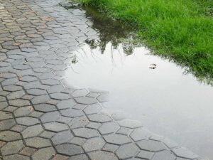 Bremen pflastert ab Entsiegelung der Stadt