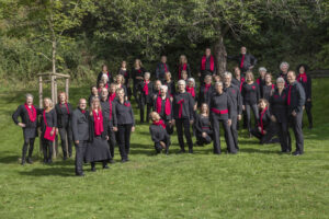 Pop Voices Chor in schwarzer Kleidung mit roten Akzenten bei einem Gruppenfoto im Grünen.