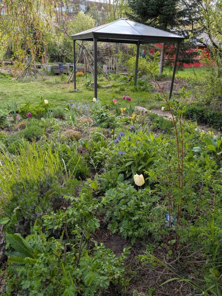 Blühender Gartenbereich mit Pavillon im Klimagarten Findorff