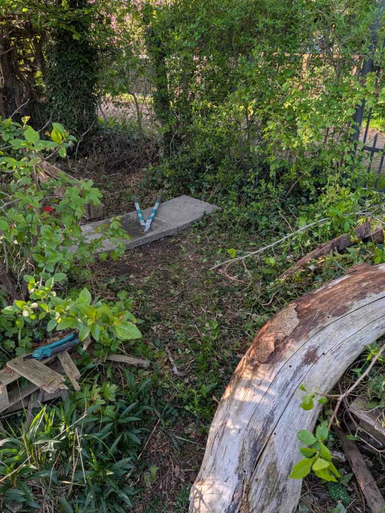Verwachsene Gartenecke mit Sträuchern, Baumstamm und Gartenschere im Klimagarten Findorff