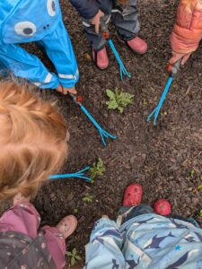 Kinder arbeiten mit kleinen Gartenwerkzeugen in einem Beet im Klimagarten Findorff