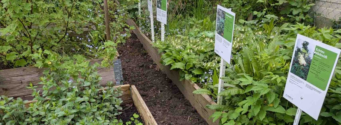 Kräuterbeete mit beschilderten Pflanzen im Klimagarten Findorff
